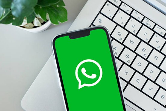 whatsapp商業帳號是什麼