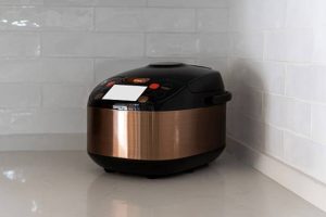 電子湯煲邊隻好